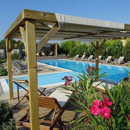 Our Nest Accommodation Privlaka  Esterno foto